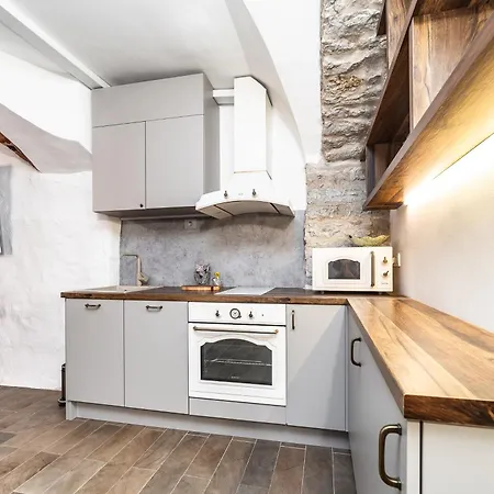 Apartment Historical & Modern Business With Sauna @kadriorg *